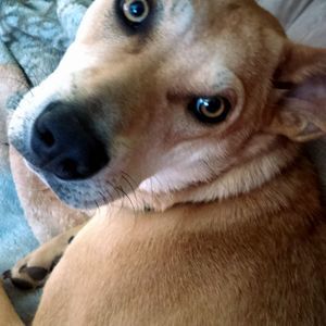 Meet your Posher, Carol